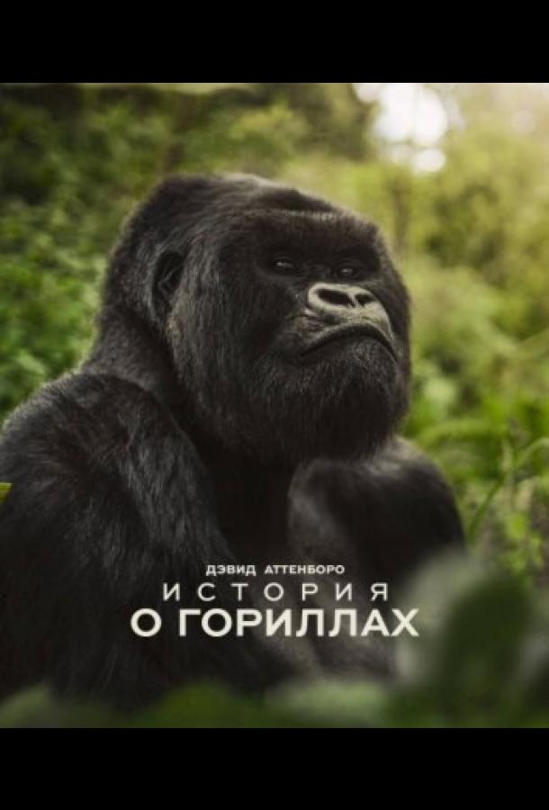 Дэвид Аттенборо. История о гориллах (2026) — фильм